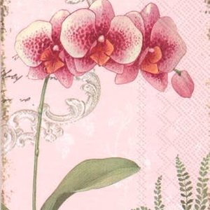 IHR Guest Napkin Paper L'ORCHIDEE LIGHT ROSE