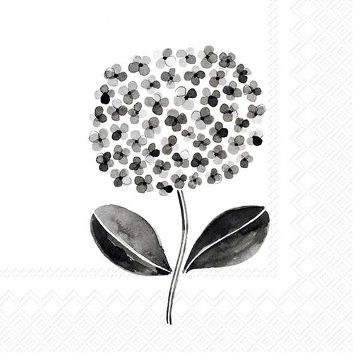 IHR Napkin Cocktail Paper ALL ABOUT BLACK & WHITE IHR Napkin Cocktail Paper ALL ABOUT BLACK & WHITE