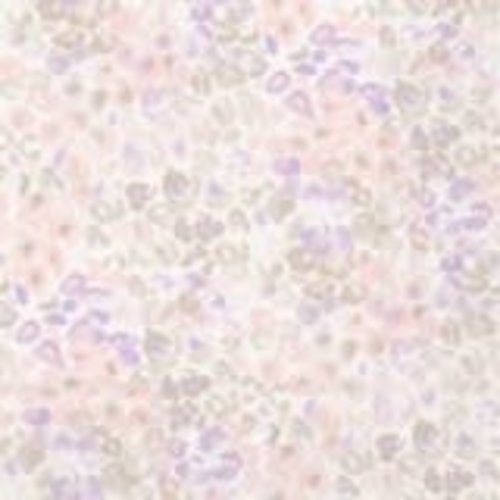 IHR Napkin Lunch Paper JANNIS CREAM IHR Napkin Lunch Paper JANNIS CREAM