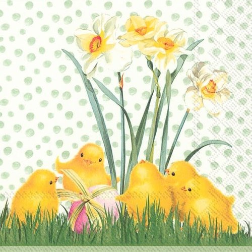 IHR Napkin Lunch Paper CHICKEN IN THE SPRING IHR Napkin Lunch Paper CHICKEN IN THE SPRING
