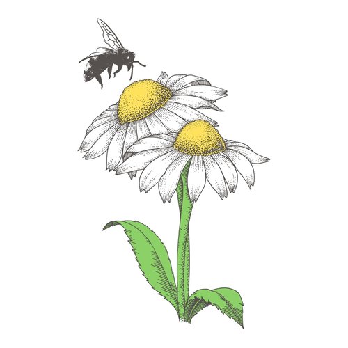 Swedish Cloth Swedish Cloth DAISY & BEE Swedish Cloth Swedish Cloth DAISY & BEE