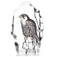 Falcon Crystal Maleras
