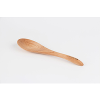 Wide Serving Scoop Littledeer