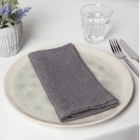Napkin Linen Pinstripe Shadow