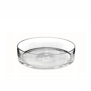 Natural Living Shallow Glass Serving Bowl 25 x 8 cm