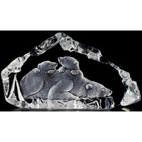 Polar Bear Family MALERAS