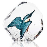 Kingfisher Painted MALERAS