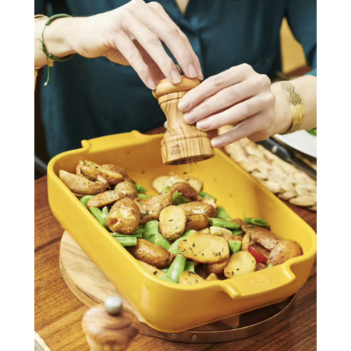 Peugeot APPOLIA Small Rectangular Baking Dish Yellow