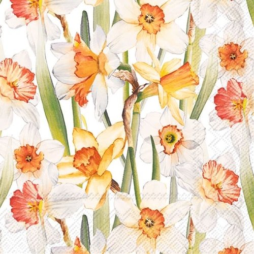 IHR Napkin Lunch Paper DAFFODIL JOY IHR Napkin Lunch Paper DAFFODIL JOY