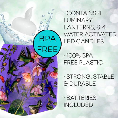 MODGY Luminary Lantern Hummingbird & Water Activated LED Candles 4 Each