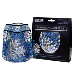 MODGY Luminary Lantern Tulip and Willow & Water Activated LED Candles 4 Each