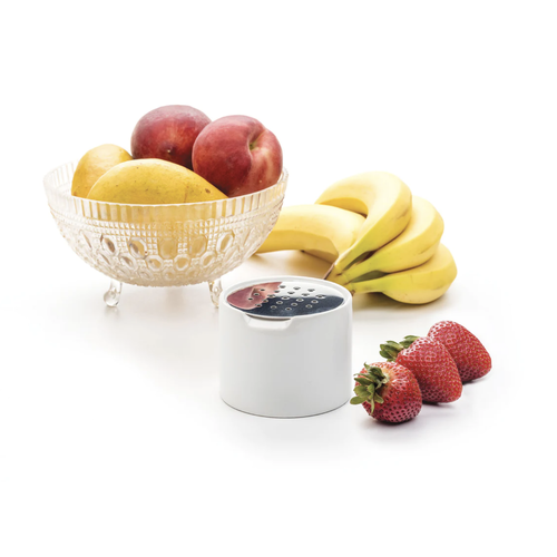 Endurance Fruit Fly Trap White Porcelain