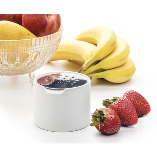 Endurance Fruit Fly Trap White Porcelain