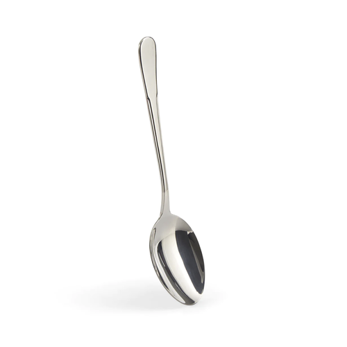 Endurance Serving Spoon Monty’s