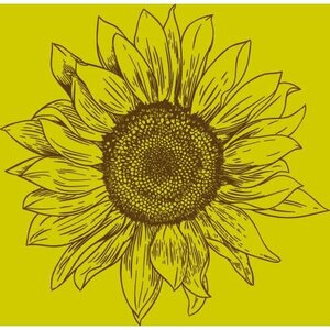 Euroscrubby Swedish Cloth Sunflower