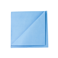 Streak Free Cloth by Euroscrubby