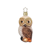 Watchful Eyes Glass Ornament
