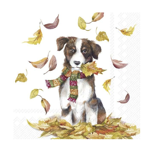 IHR Napkin Lunch Paper Dog Having Fun IHR Napkin Lunch Paper Dog Having Fun
