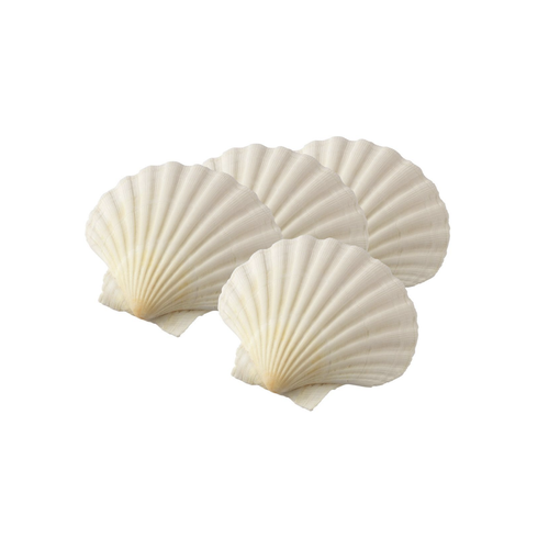 Harold Import Company Baking Shells Set of 4