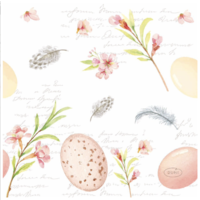 Napkin Lunch Paper Eggs & Feathers