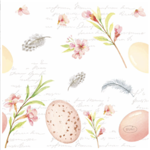 Napkin Lunch Paper Eggs & Feathers