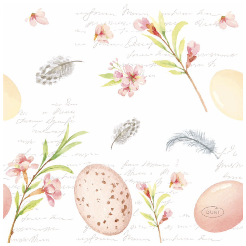 Napkin Lunch Paper Eggs & Feathers