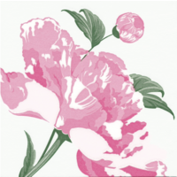 Napkin Cocktail PAVIOT Pivione Blanc