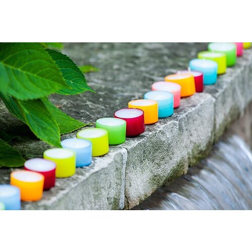 Abbott Tealight Individual 8hr Summer