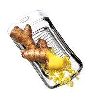 Ginger Grater Stainless Steel