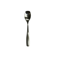 Lizz Matte Spoon