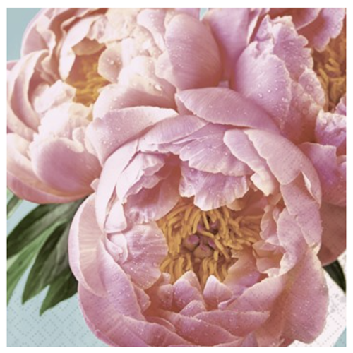 OCD Napkin Cocktail Paper Pink Peony