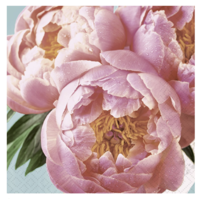 Napkin Lunch Paper Pink Peony