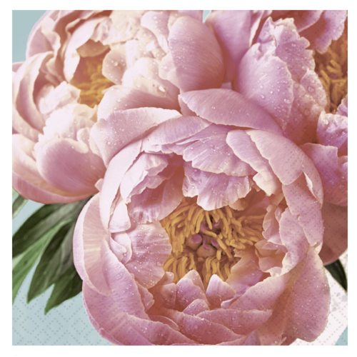 OCD Napkin Lunch Paper Pink Peony