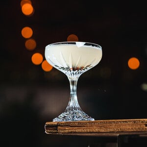 Bold Drinkware Tryst Coupe 6 oz Bold Drinkware Tryst Coupe 6 oz