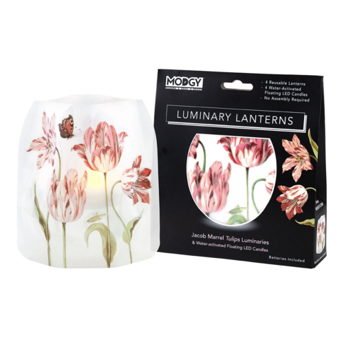 MODGY Luminary Lantern Tulips & Water Activated LED Candles 4 Each