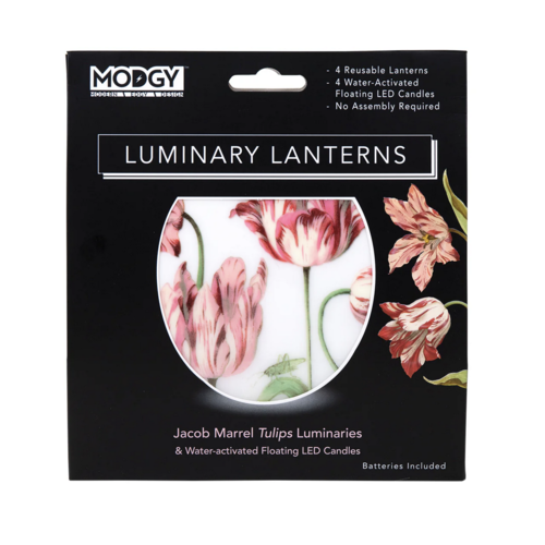 MODGY Luminary Lantern Tulips & Water Activated LED Candles 4 Each