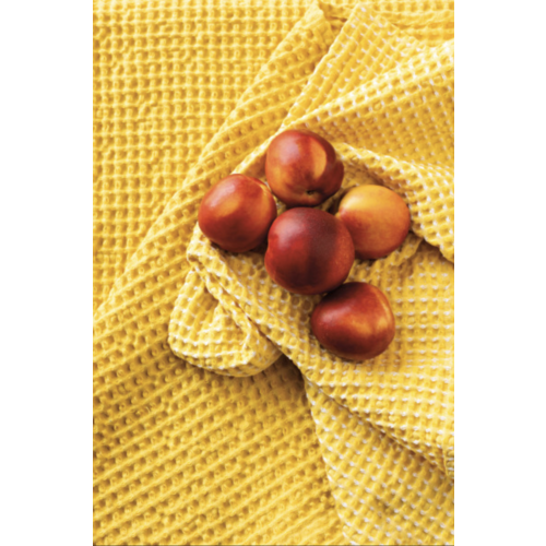 Now Designs Tea Towel Second Spin Waffle Yellow Set of 2