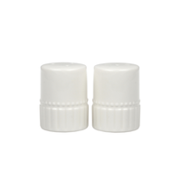 Salt & Pepper Shaker Set Chantilly