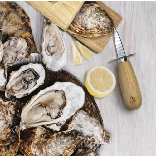 Natural Living Oyster Shucking Tool Set