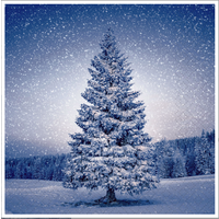 Napkin Lunch Paper Magic Tree