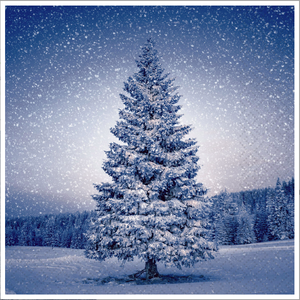 OCD Napkin Lunch Paper Magic Tree OCD Napkin Lunch Paper Magic Tree