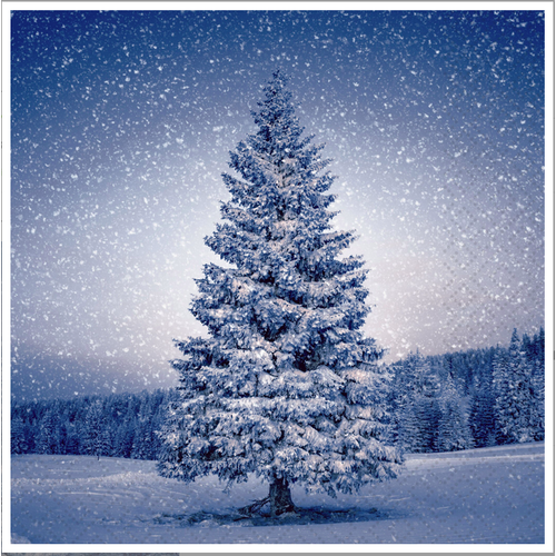 OCD Napkin Lunch Paper Magic Tree OCD Napkin Lunch Paper Magic Tree