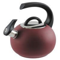 Neptune Kettle Matte Rasberry Red