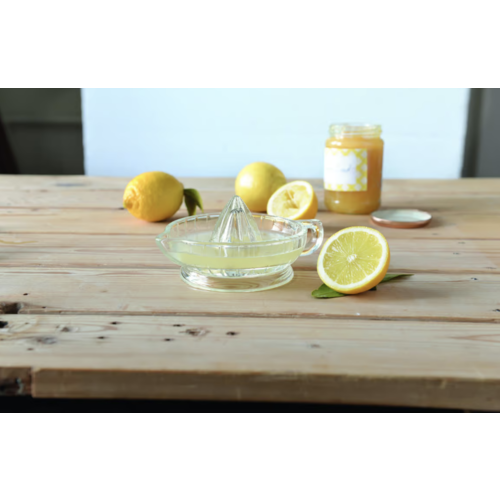 Fox Run Glass Citrus Juicer