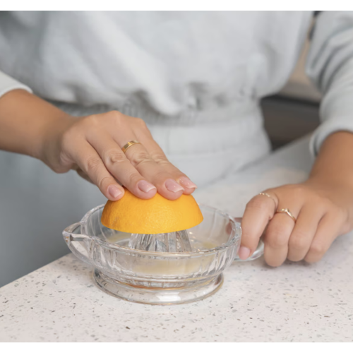 Fox Run Glass Citrus Juicer