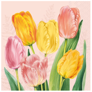 IHR Napkin Cocktail Paper Spring Tulips