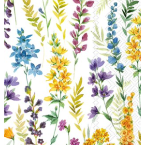 IHR Napkin Guest Paper Silba