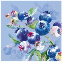 Napkin Lunch Paper Blueberry Fruits