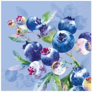 IHR Napkin Lunch Paper Blueberry Fruits