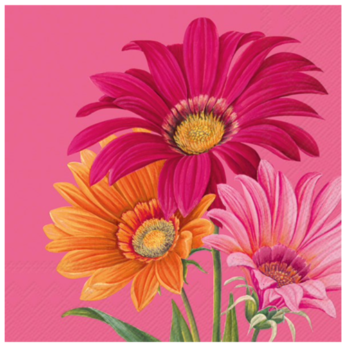 IHR Napkin Lunch Paper Joyful Gerbera Pink IHR Napkin Lunch Paper Joyful Gerbera Pink